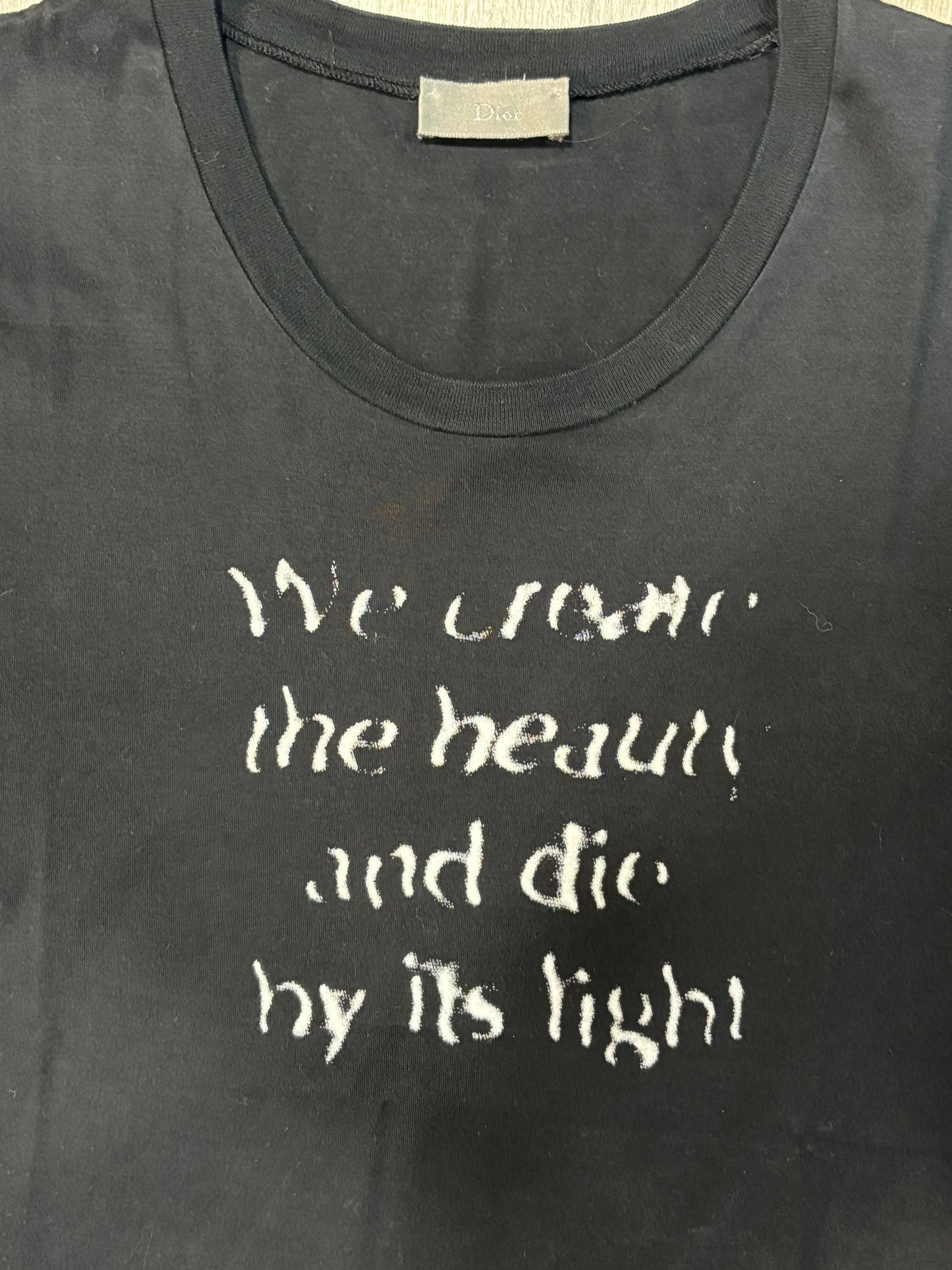 Dior Homme AW10 We Create The Beauty Shirt