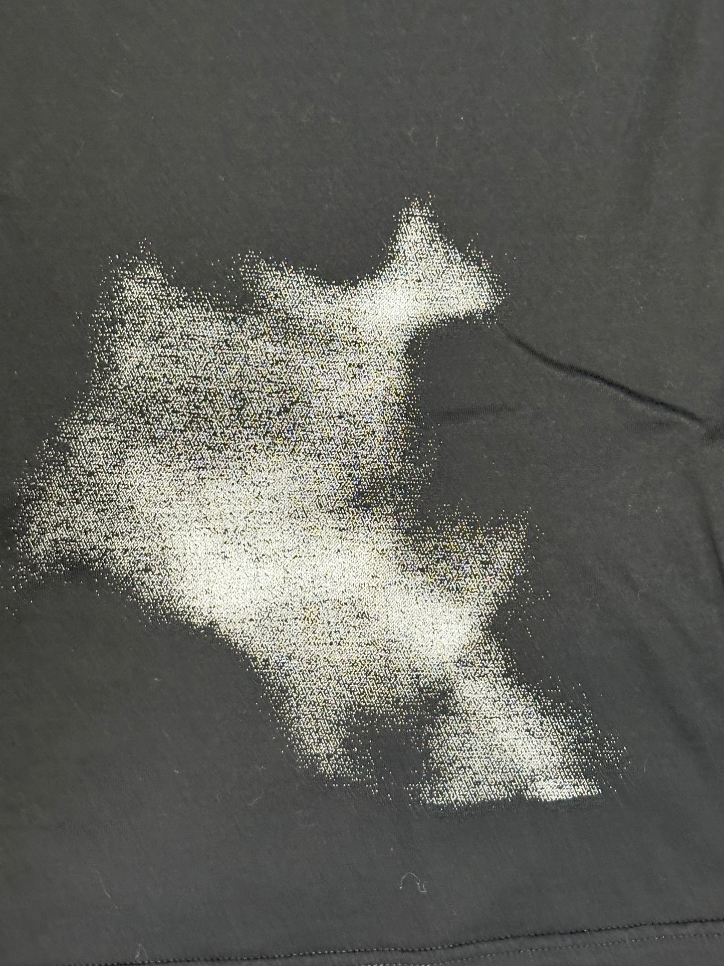 Dior Homme AW10 We Create The Beauty Shirt