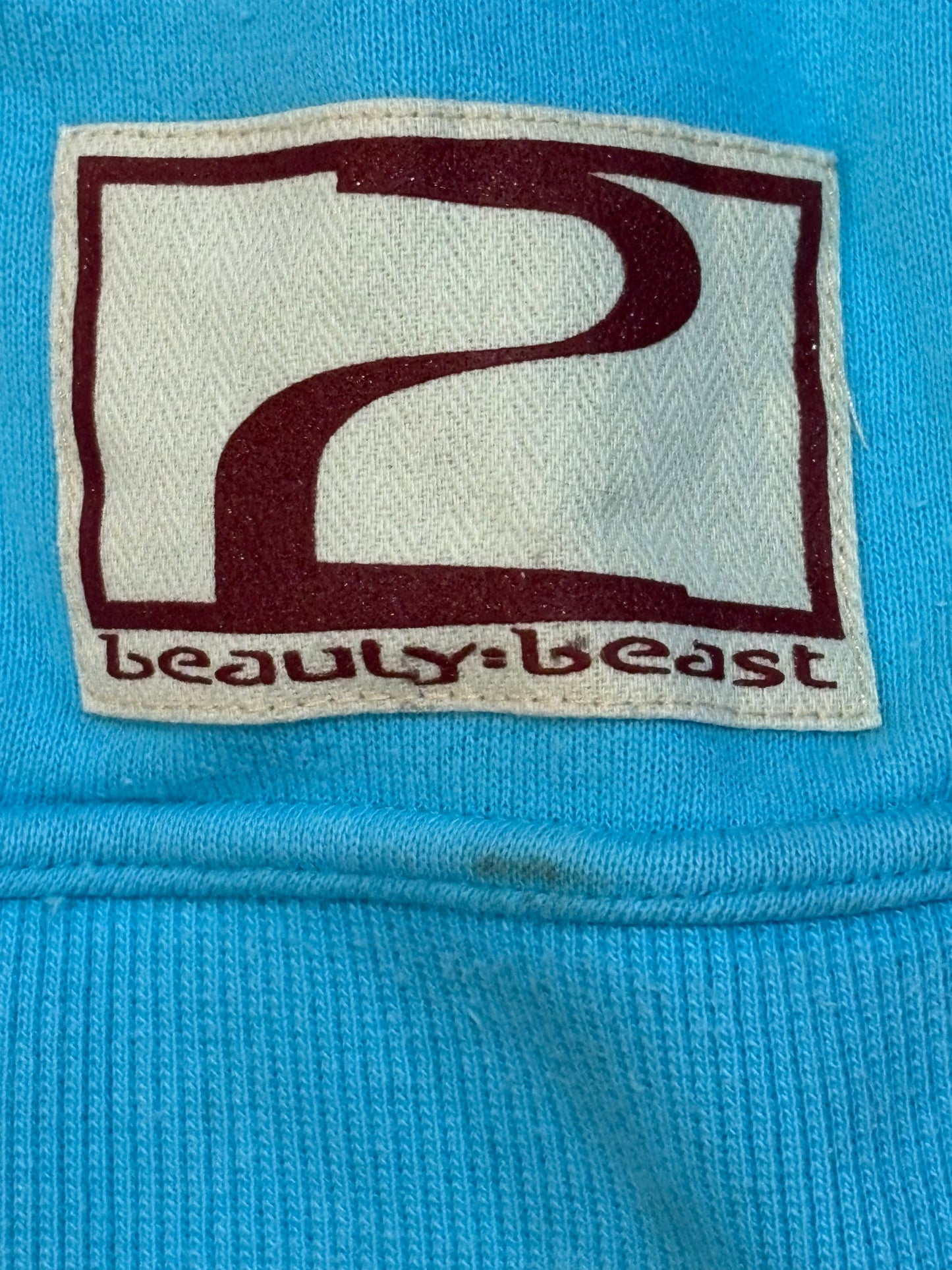 Beauty:Beast AW96 Deep Depth Angel Wing Sweater