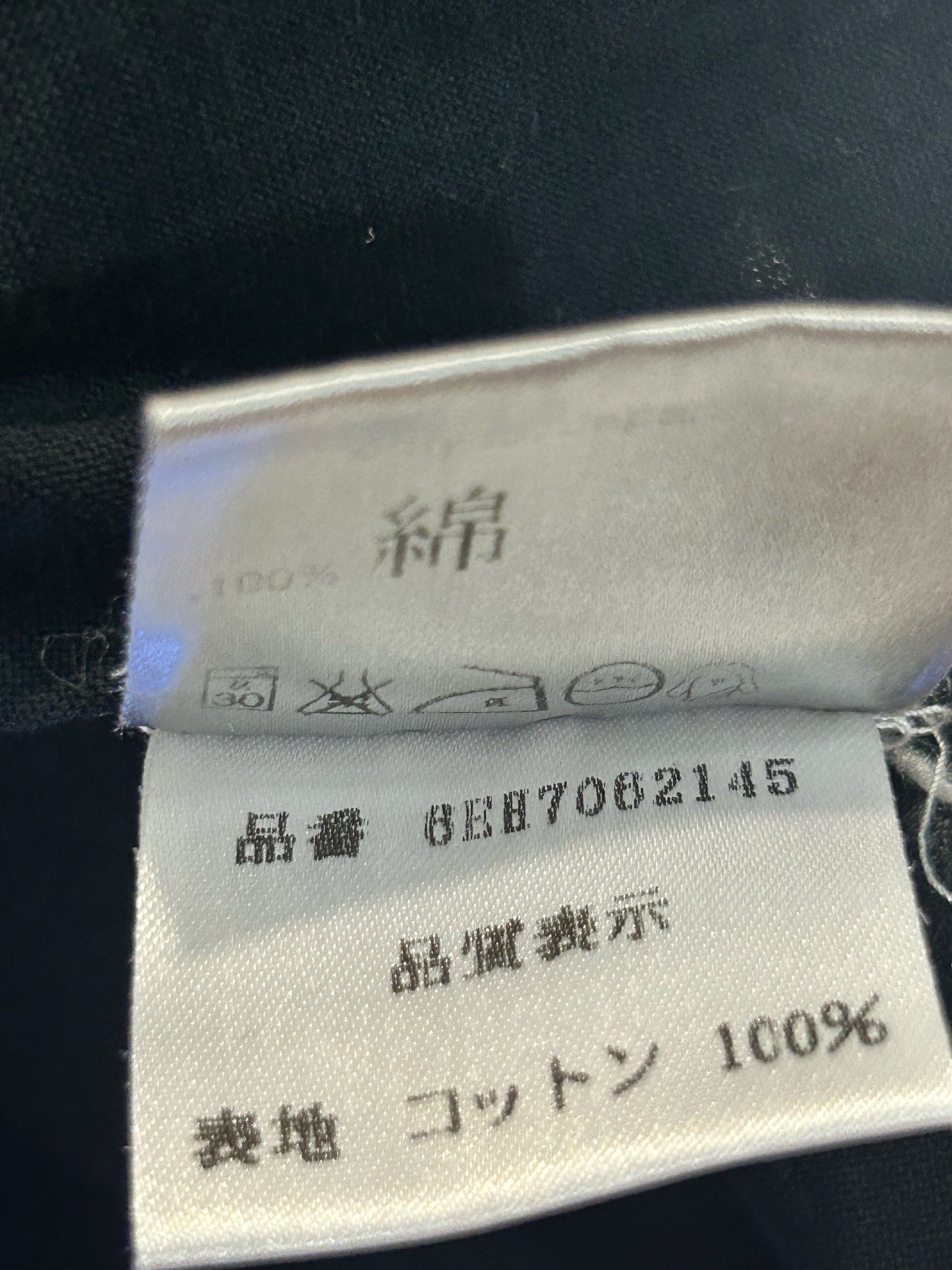 Dior Homme SS06 Bee Shirt